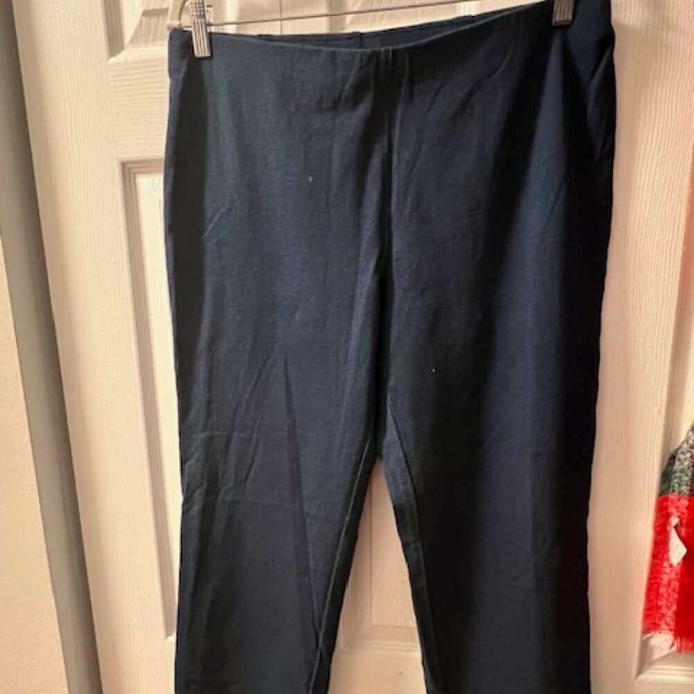 J. Jill Indigo Pure Jill Slim Leggings